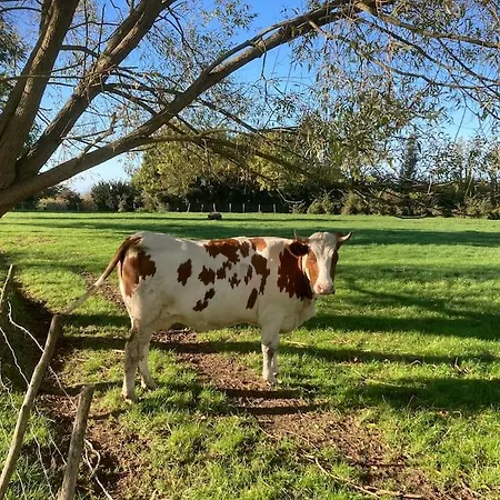 Apartment Le Clos De Beauchamps L'entre 2 Baies Accueil Velo Saint-Valéry-sur-Somme