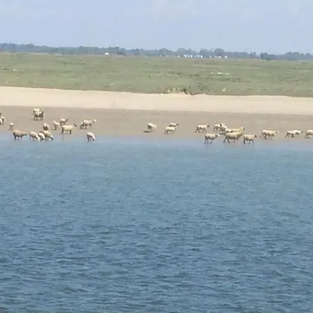 Apartment Le Clos De Beauchamps L'entre 2 Baies Accueil Velo Saint-Valéry-sur-Somme