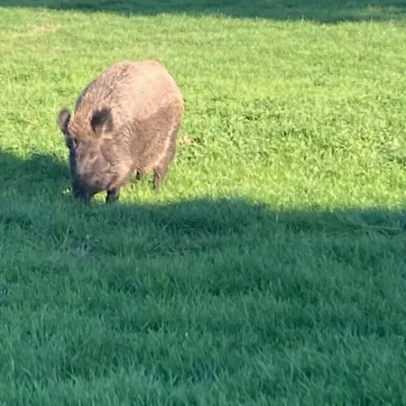 Apartment Le Clos De Beauchamps L'entre 2 Baies Accueil Velo