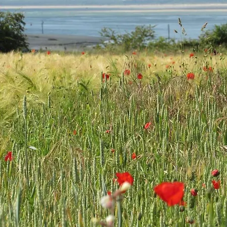 Le Clos De Beauchamps L'entre 2 Baies Accueil Velo * Saint-Valéry-sur-Somme