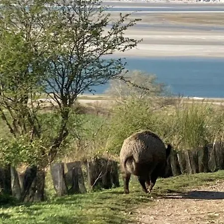 Le Clos De Beauchamps L'entre 2 Baies Accueil Velo *