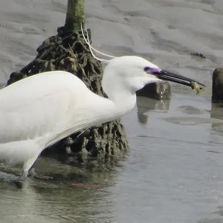 Apartment Le Clos De Beauchamps L'entre 2 Baies Accueil Velo