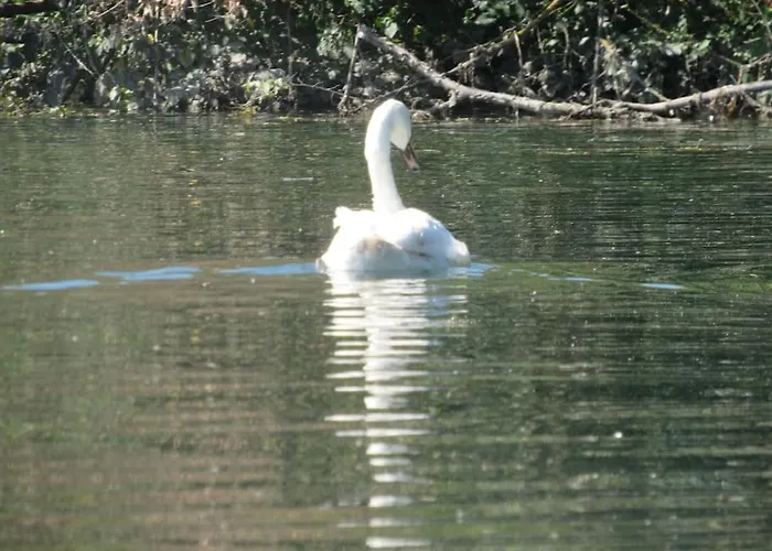 Le Clos De Beauchamps L'entre 2 Baies Accueil Velo Appartement *