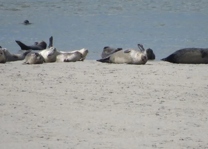 Le Clos De Beauchamps L'entre 2 Baies Accueil Velo Appartement *