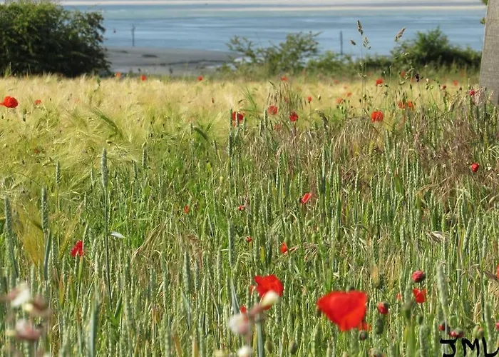 Le Clos De Beauchamps L'entre 2 Baies Accueil Velo * Saint-Valéry-sur-Somme