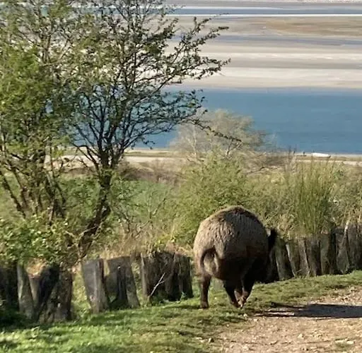 Le Clos De Beauchamps L'entre 2 Baies Accueil Velo *